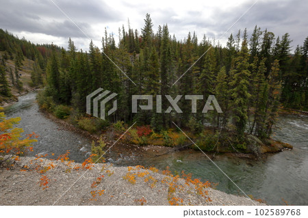 Beautiful autumn leaves and snow scene in Jasper National Park, a tourist destination in Canada Beautiful autumn leaves and snow scene in Jasper National Park, a tourist destination in Canada 102589768