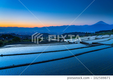 [初夏材料]黎明時分的中野梯田[山梨縣] 102589871