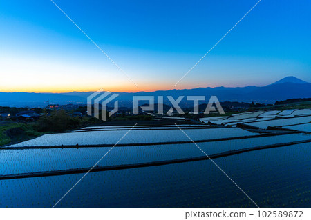 [初夏材料]黎明時分的中野梯田[山梨縣] 102589872