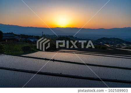 [Early Summer Material] Nakano Terraced Rice Fields at Dawn [Yamanashi Prefecture] 102589903
