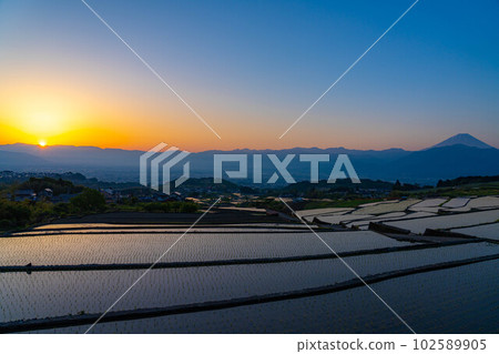 [Early Summer Material] Nakano Terraced Rice Fields at Dawn [Yamanashi Prefecture] 102589905