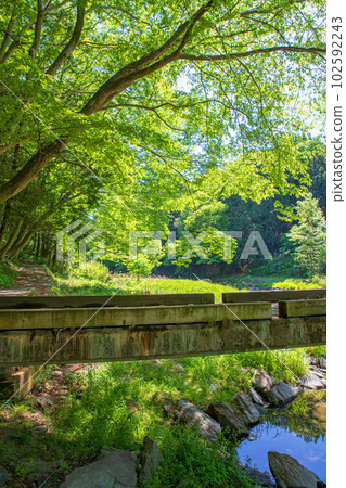 Shiozawa Kansui Bridge, Tsuki River, fresh green scenery, Musashi's Little Kyoto Shiozawa Kansui Bridge, Tsuki River, fresh green scenery, Musashi's Little Kyoto 102592243