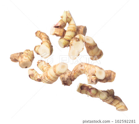 Galangal fly in mid air, fresh vegetable spice galangal falling. Organic fresh herbal galangal root head cut chop slice, close up texture. White background isolated freeze motion high speed shutter 102592281