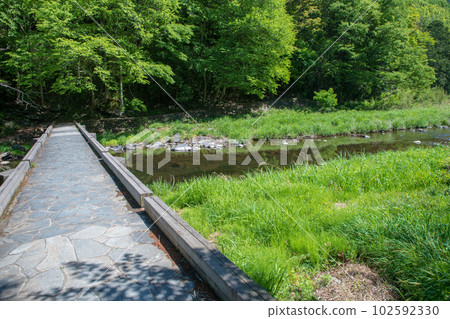 鹽澤環水橋、月川、新綠景色、武藏的小京都 102592330