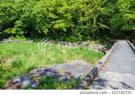鹽澤環水橋、月川、新綠景色、武藏的小京都 102592331