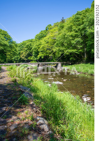 Shiozawa Kansui Bridge, Tsuki River, fresh green scenery, Musashi's Little Kyoto Shiozawa Kansui Bridge, Tsuki River, fresh green scenery, Musashi's Little Kyoto 102592352