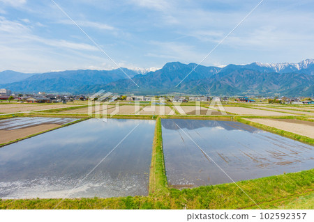 Azumino, where watering has begun in the rice paddies [Ikeda-cho, Kitaazumi-gun] 102592357