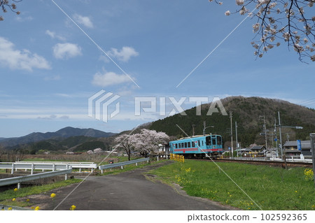 A train on a local line in full spring 102592365