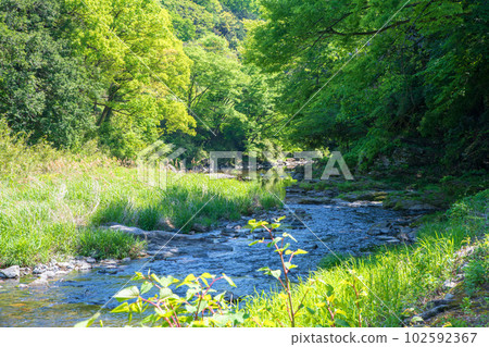 The view of the downstream of Shiozawa Kansui Bridge, the Tsuki River, the scenery of fresh greenery, Musashi's Little Kyoto 102592367