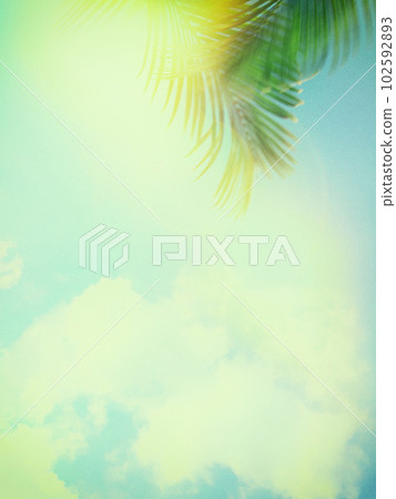 懷舊的夏日天空 懷舊的夏日天空 102592893