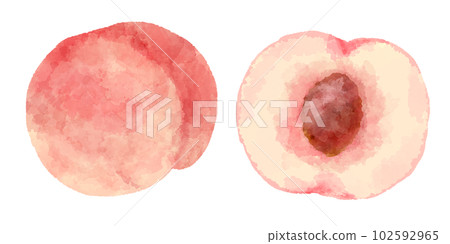 Peach illustration in hand drawn watercolor style Peach illustration in hand drawn watercolor style 102592965
