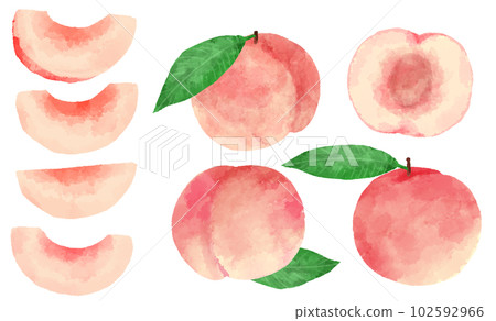 手繪水彩桃插圖集 手繪水彩桃插圖集 102592966
