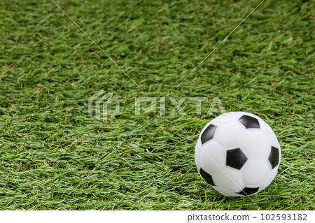 草地上的足球 102593182