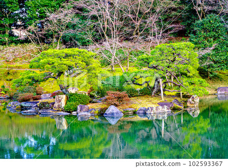 Garden of Sento Imperial Palace, Kyoto 102593367