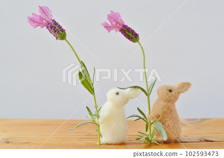 Felt rabbit with French lavender flowers Felt rabbit with French lavender flowers 102593473