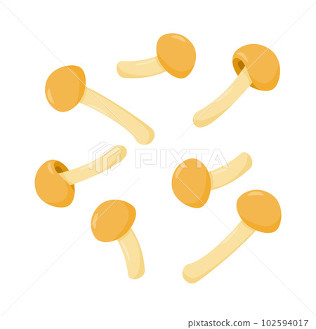 Nameko 矢量圖。 102594017