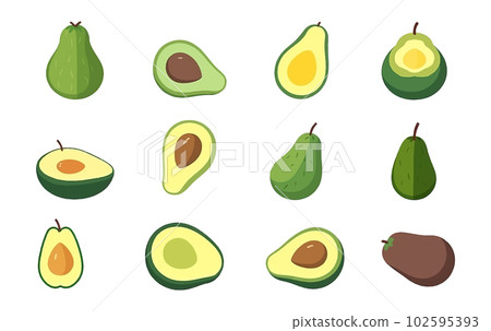 set vector illustration of green fresh avocado isolate on white background 102595393