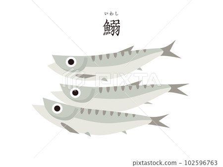Good food, Japanese ingredients, simple sardines, sardines Good food, Japanese ingredients, simple sardines, sardines 102596763