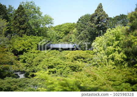 Kyoto Tofukuji Garden Aokoji Kyoto Tofukuji Garden Aokoji 102598328