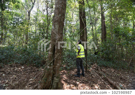 Field ecologist taking measures carbon in forests and track greenhouse gas emissions for monitoring biodiversity and forest condition. 102598987