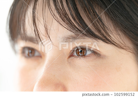 Female eyes up 102599152