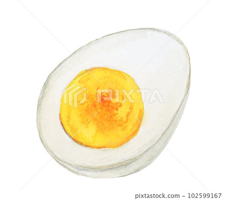 Hand drawn watercolor delicious boiled egg illustration Hand drawn watercolor delicious boiled egg illustration 102599167