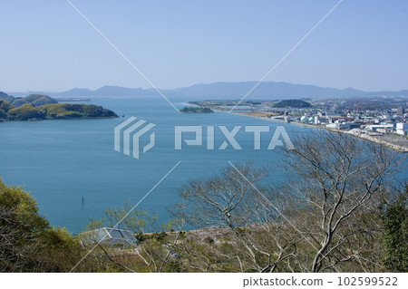 Nakaumi seen from around the main enclosure of Yonago Castle with cherry blossoms 102599522