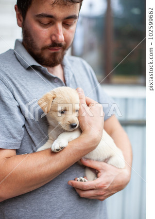 Man holding homeless puppy in hands. Man holding homeless puppy in hands. 102599662