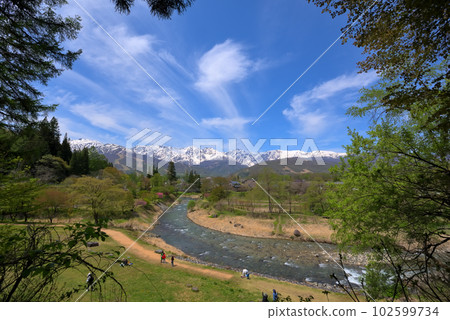 《長野縣》白馬村的春景，新綠大出公園和白馬三山的殘雪，清流姬川 102599734