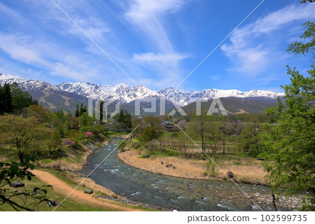 《長野縣》白馬村的春景，新綠大出公園和白馬三山的殘雪，清流姬川 102599735