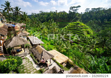 Breathtakingly beautiful Tegalalang rice terraces Breathtakingly beautiful Tegalalang rice terraces 102600224