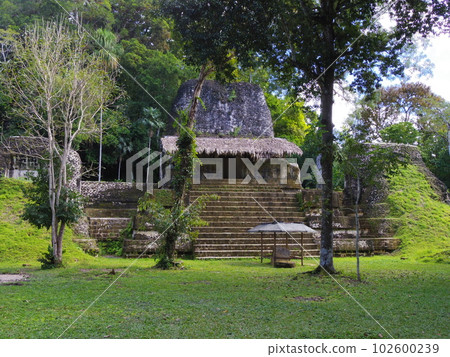 World Heritage Guatemala Republic Tikal National Park Ruins 8 World Heritage Guatemala Republic Tikal National Park Ruins 8 102600239