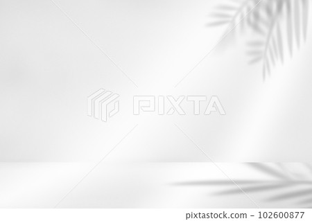 White walls and white tables. Leaf silhouette modern background White walls and white tables. Leaf silhouette modern background 102600877