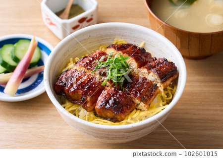 Unadon Unadon 102601015