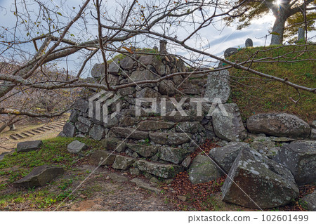 Saga Karatsu Nagoya Castle Scenery of Oteguchi 102601499