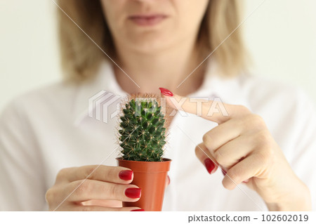 Woman touches cactus thorns with finger in light studio 102602019