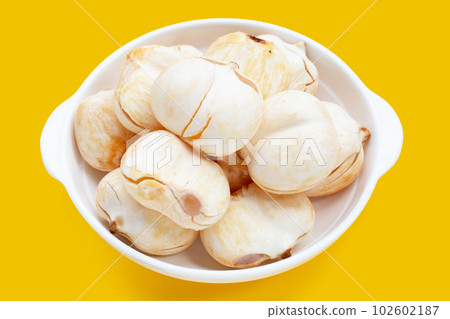 Toddy palm on white background. Toddy palm on white background. 102602187