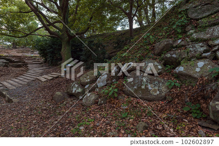 佐賀唐津名古屋城三之丸風景 佐賀唐津名古屋城三之丸風景 102602897