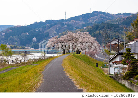 EOSR6.Shimane Unnan, the stalls are on the riverbed. EOSR6.Shimane Unnan, the stalls are on the riverbed. 102602919