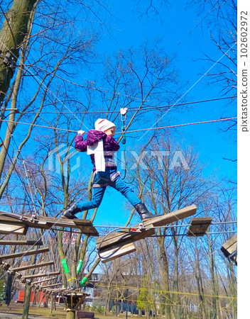 girl climbing in adventure rope park girl climbing in adventure rope park 102602972