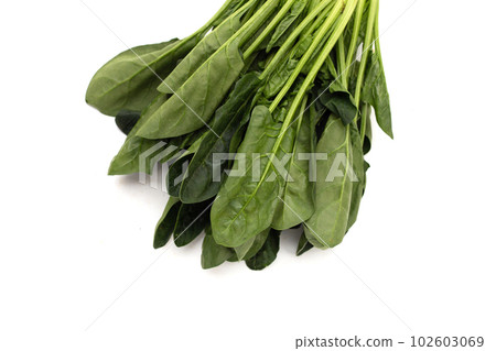 Fresh spinach on white background Fresh spinach on white background 102603069