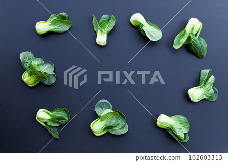 Bok choy on dark background. 102603313