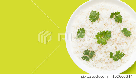 Dish of rice on green background. 102603314