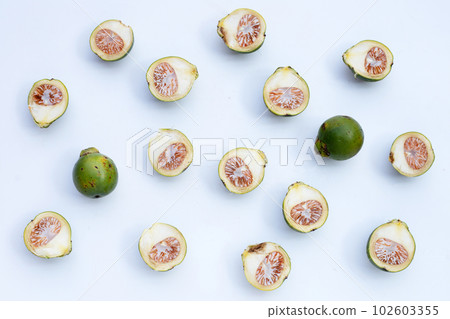 Betel nut or Areca nut on white background Betel nut or Areca nut on white background 102603355