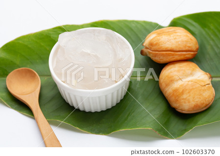 Toddy palm on white background. Toddy palm on white background. 102603370