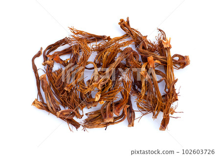 Dried red cotton tree flower 102603726