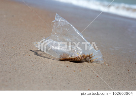 Plastic bag pollution on the beach Plastic bag pollution on the beach 102603804