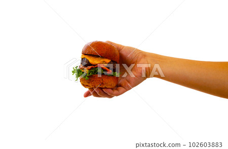 Hand holding burger on white background. Hand holding burger on white background. 102603883