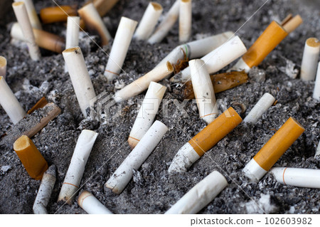 where can u buy cigarettes near me Starting today, you must be at least 21 to buy cigarettes at Walmart
