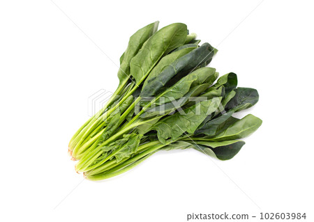 Fresh spinach on white background 102603984
